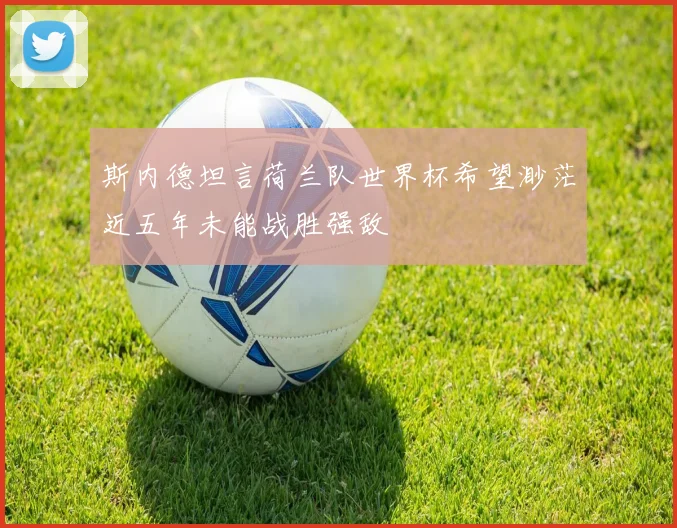 斯内德坦言荷兰队世界杯希望渺茫近五年未能战胜强敌